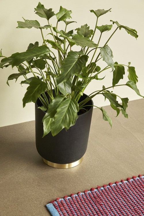 Zestaw 2 doniczek  AMONG , czarne - Hübsch