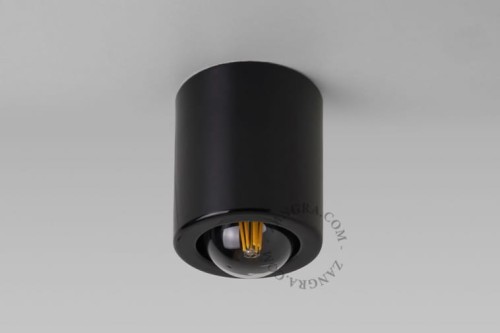 Spotlight BW sufitowy porcelanowy - Zangra