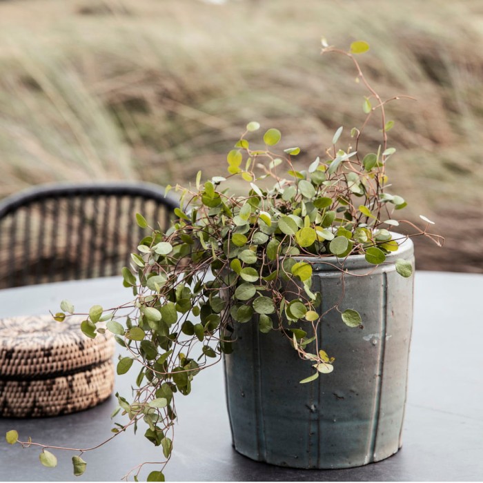 Doniczka JULIAN szary/zielony - House Doctor