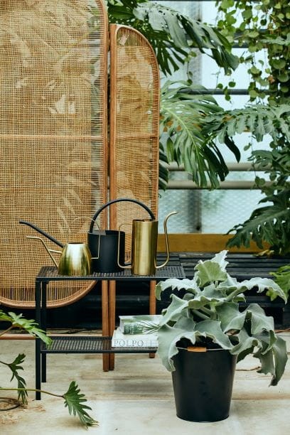 Konewka Nedan złota - Nordal